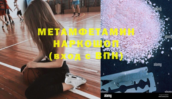 гидра Козловка