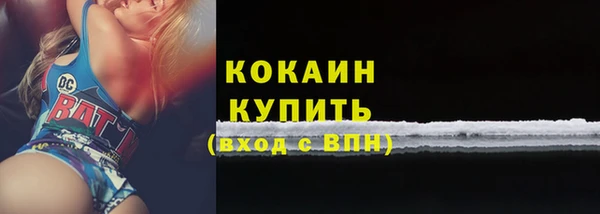 ешки Козельск