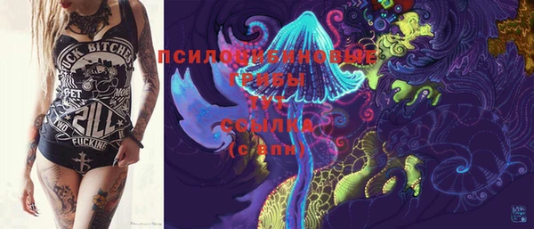 ешки Козельск