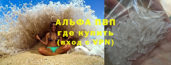 гидра Козловка
