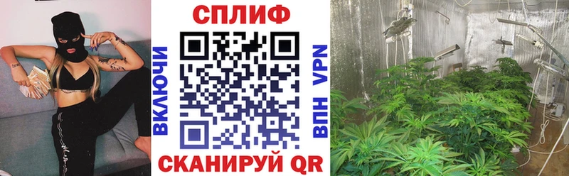 Бошки Шишки SATIVA & INDICA  Купить закладки  Гороховец 